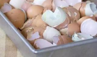 鸡蛋皮有什么妙用 鸡蛋壳有什么用